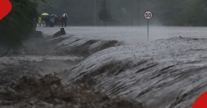 Kenya Red Cross Cautions Kenyans about Imminent Floods in Over 40 Counties: "Be Vigilant"